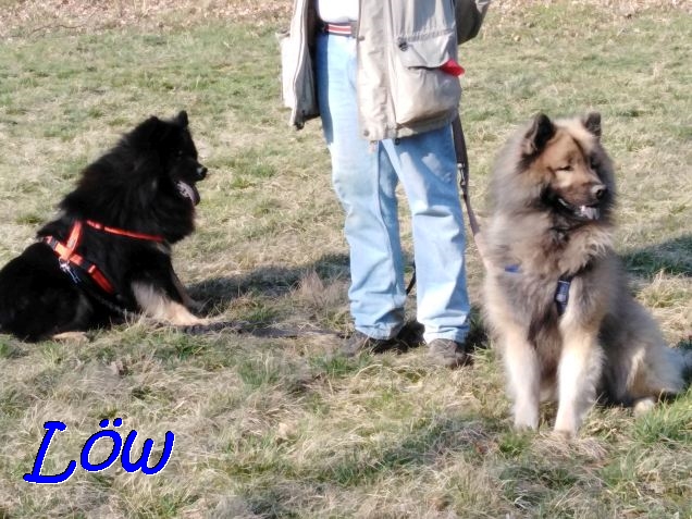 19.3.2020 - Dwix und Howard in Warteposition